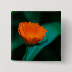 Orange daisy flower 15 cm square badge