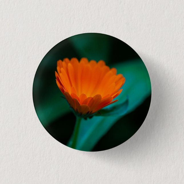 Orange daisy flower 3 cm round badge (Front)