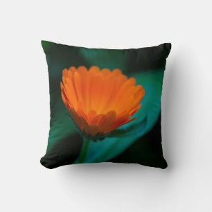 Orange daisy flower cushion