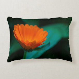 Orange daisy flower decorative cushion