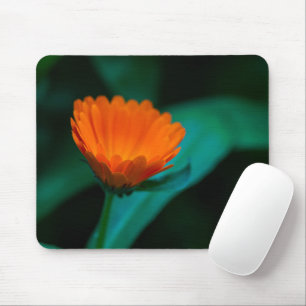 Orange daisy flower mouse pad