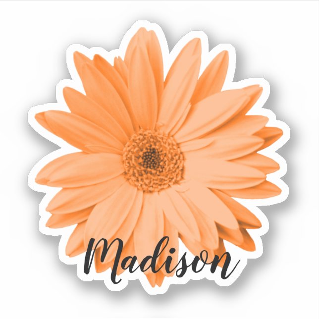 Orange Daisy Flower Name Sticker (Front)