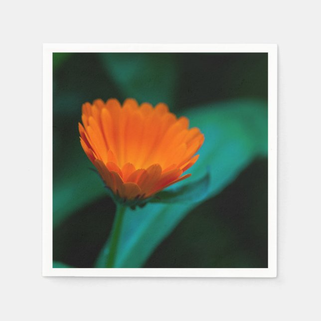 Orange daisy flower napkin (Front)