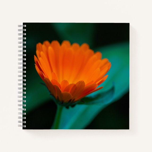 Orange daisy flower notebook (Front)