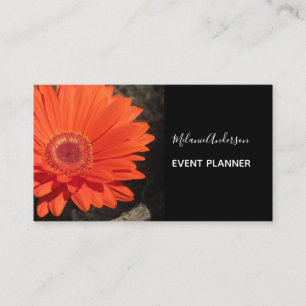 Orange Daisy Flower Photo  Business Card