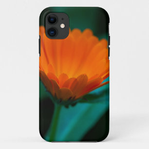 Orange Daisy Flower Photograph Case-Mate iPhone Case