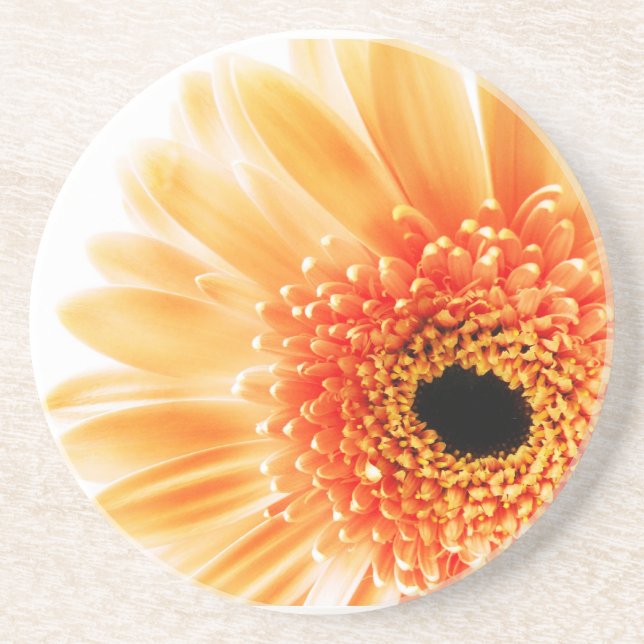 Orange Daisy Flower Photograph Coaster (Front)