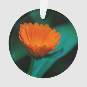 Orange Daisy Flower Photograph Ornament