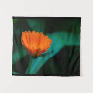 Orange Daisy Flower Photograph Tapestry