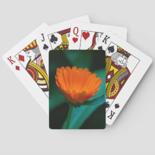Orange daisy flower playing cards