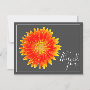 Orange Daisy Flower With Grey Backdrop Thank You Postcard