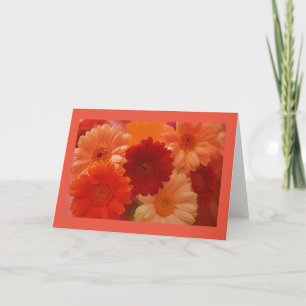 Orange Daisy Flowers Photo Greeting or Note Cards