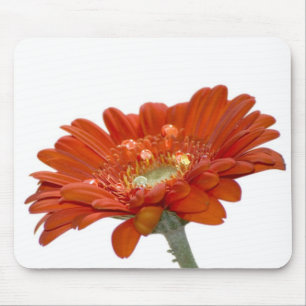Orange Daisy Gerbera Flower Mouse Pad