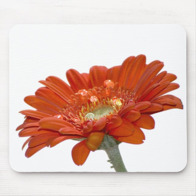 Orange Daisy Gerbera Flower Mouse Pad (Front)