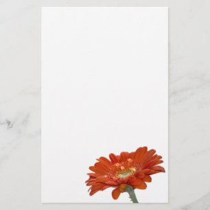 Orange Daisy Gerbera Flower Stationery