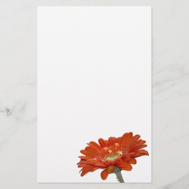 Orange Daisy Gerbera Flower Stationery (Front)