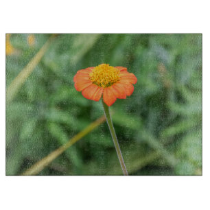 Orange daisy glass cutting board