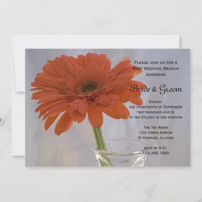 Orange Daisy in Vase Post Wedding Brunch Invitation (Front)