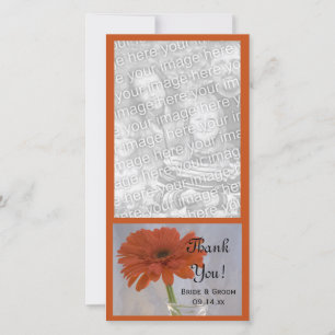 Orange Daisy in Vase Wedding Thank You Photo Card