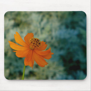 Orange Daisy  Mouse Pad