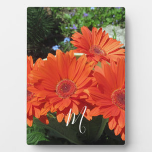 Orange Daisy Photo Monogram Plaque