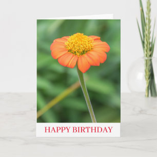 Orange daisy up close birthday card