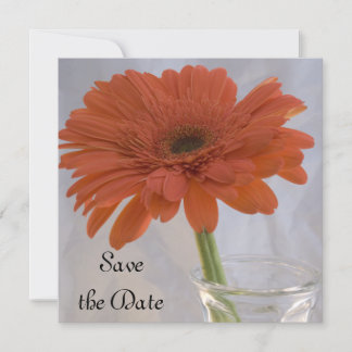 Orange Daisy Wedding Save the Date Announcement