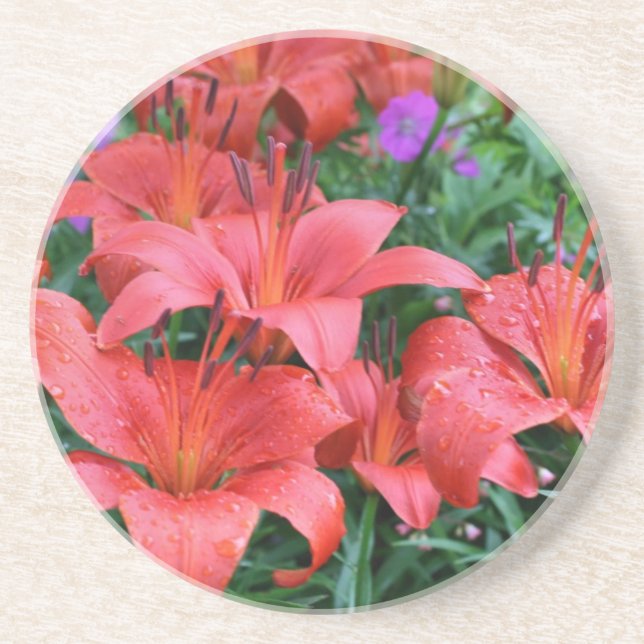 Orange Day Lilies Floral Coaster (Front)