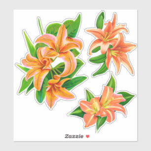 Orange Daylilies and Green Leaves