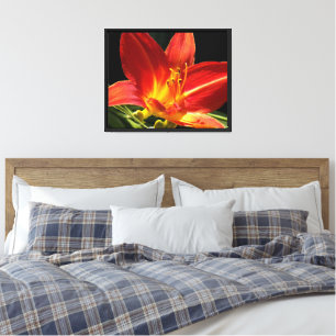 Orange Daylily Bloom Floral Photographic Canvas Print