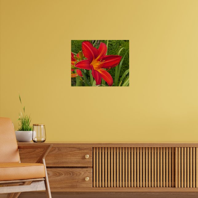 Orange Daylily Bloom Floral Poster (Living Room 2)