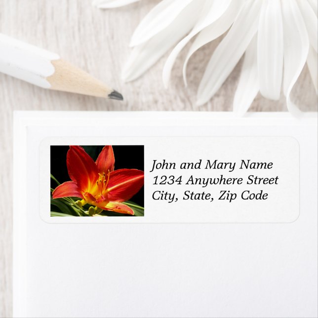 Orange Daylily Bloom Floral Return Address (Insitu)