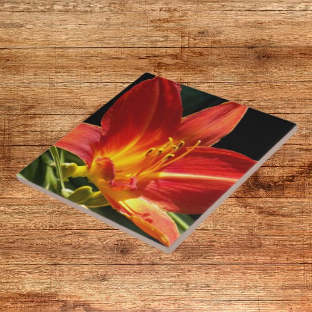Orange Daylily Bloom Floral Tile (In Situ)
