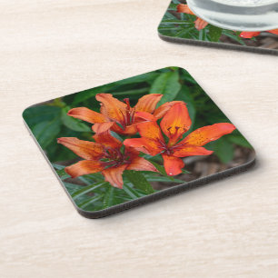 Orange Daylily Canadian Flower Photography Coaster