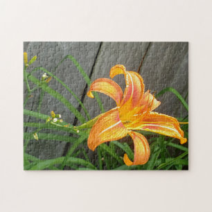 Orange daylily flower jigsaw puzzle