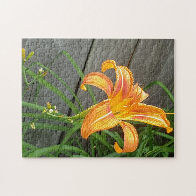 Orange daylily flower jigsaw puzzle (Horizontal)