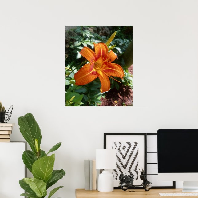 Orange Daylily Flower Photo Print (Home Office)