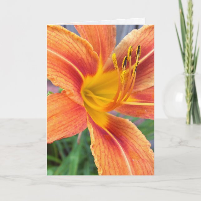 Orange Daylily Greeting Card (Front)