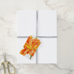 Orange daylily watercolor flower gift tags