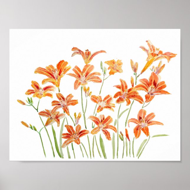 orange daylily watercolor  poster (Front)