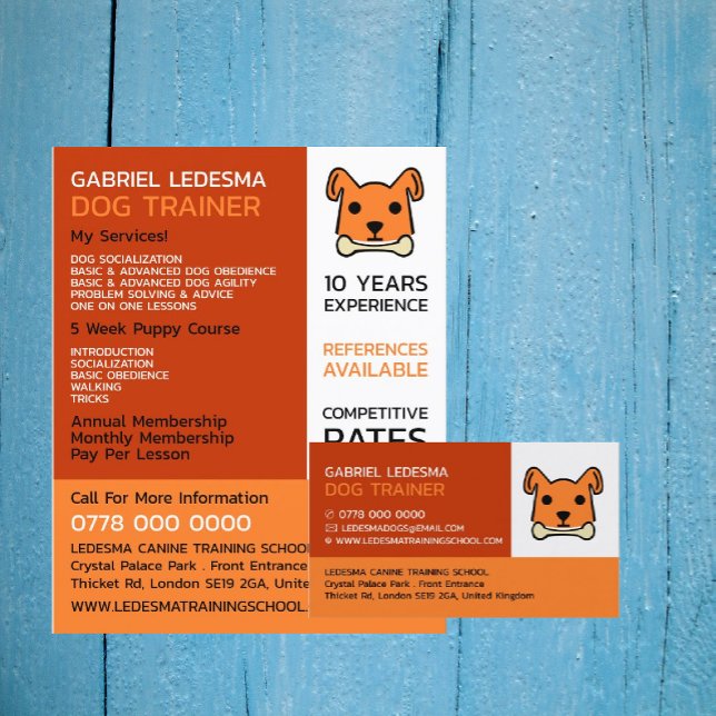 Orange Dog, Dog Trainer Advertising Flyer (Creator Uploaded)