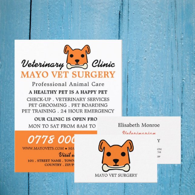 Orange Dog, Veterinarian, Veterinary Service Flyer (Creator Uploaded)