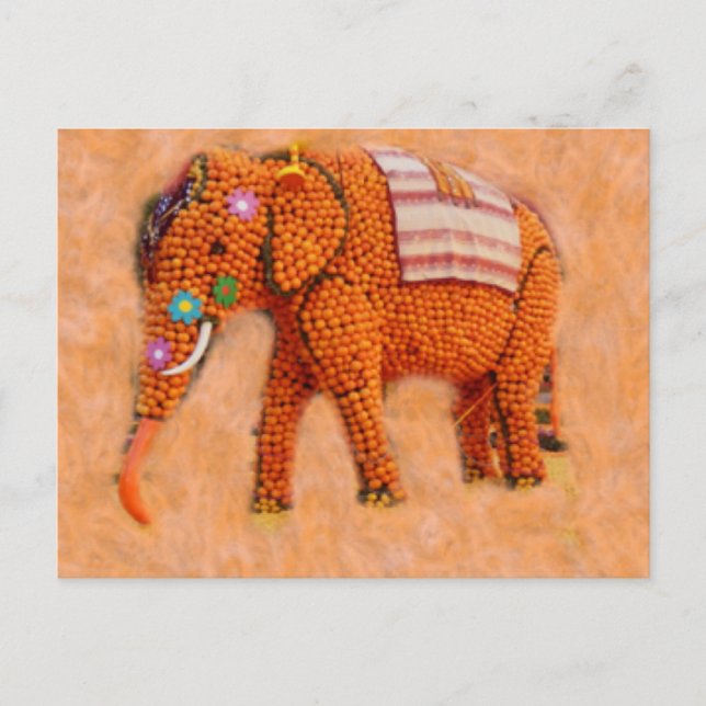 Orange Elephant Postcard (Front)