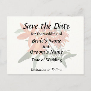 Orange Epidendrum Orchid Announcement Postcard
