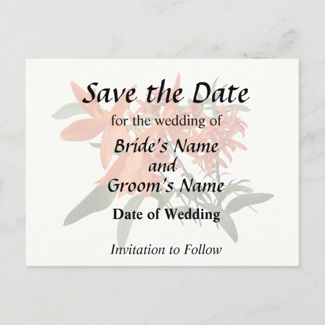 Orange Epidendrum Orchid Announcement Postcard (Front)