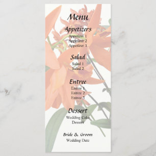 Orange Epidendrum Orchid Menu