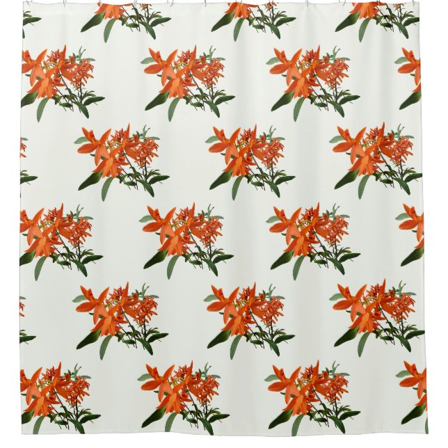 Orange Epidendrum Orchid Shower Curtain (Front)