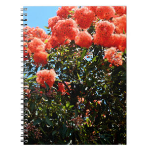 Orange Eucalyptus Flower Tree, Notebook