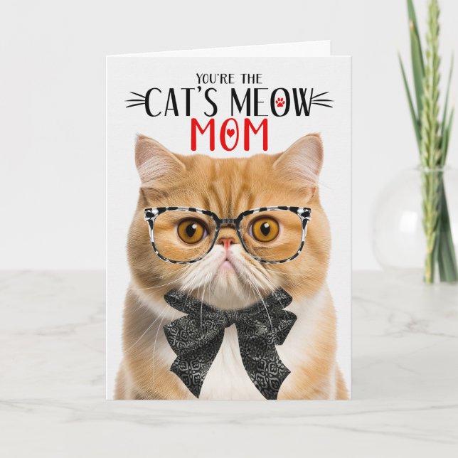 Orange Exotic Shorthair Cat for Mum Mother's Day Holiday Card (Front)