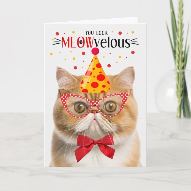 Orange Exotic Shorthair Cat MEOWvelous Birthday Card (Front)